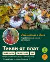 Тикви от плат — работилница с Лили, 30 октомври 2026, 18:00–19:30, Жираф Кафе